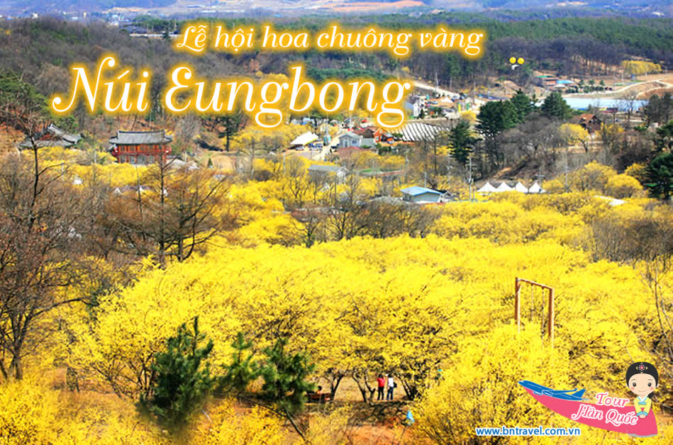 Tham gia lễ hội hoa chuông vàng núi Eungbong