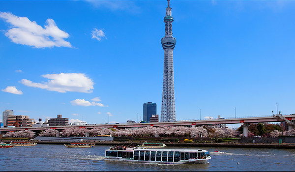 Tokyo Sky Tree